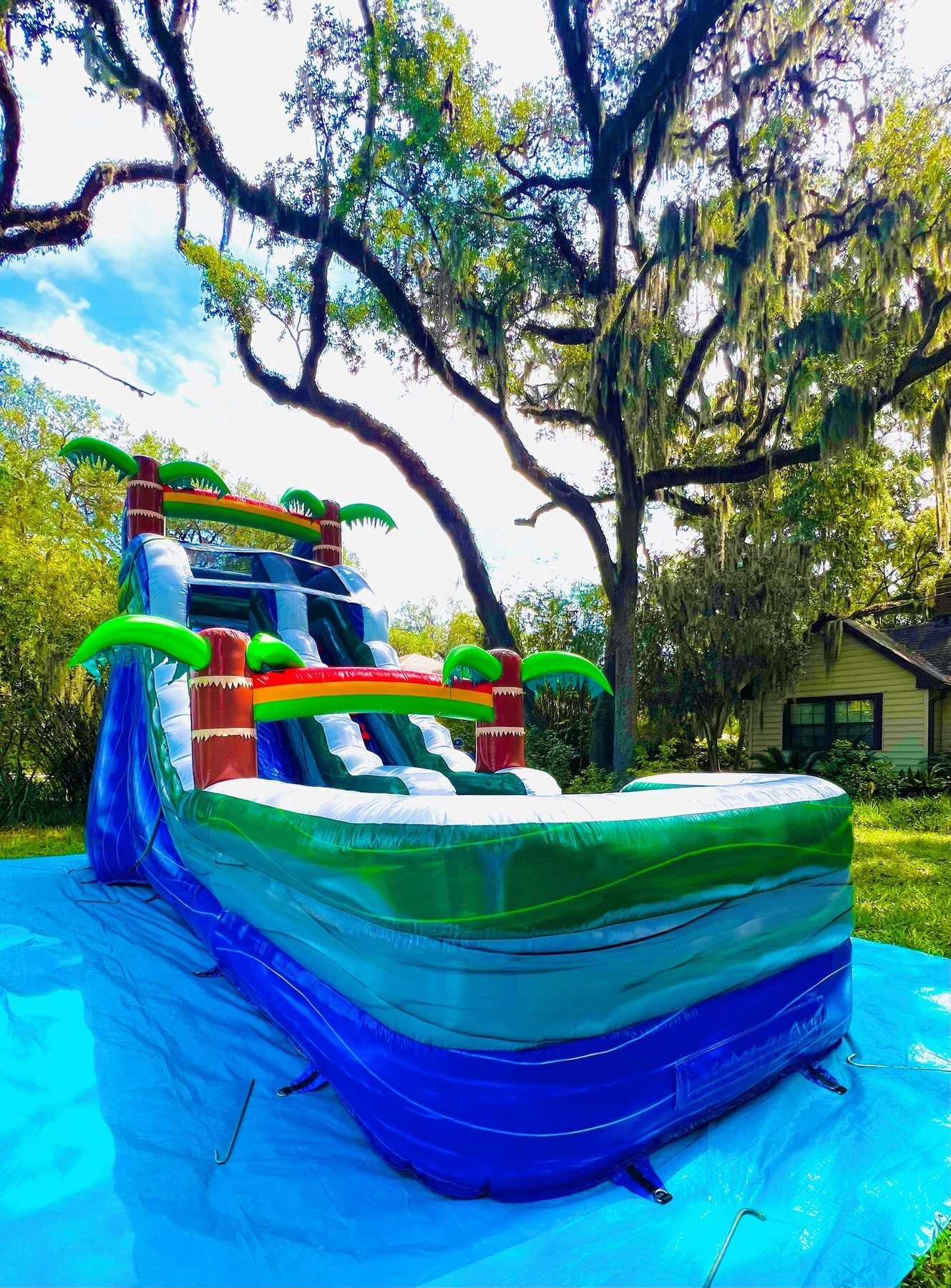 Tropical dual lane inflatable water slide